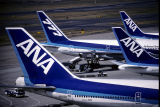 ANA TAILS HND RF 5.jpg