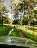 #5~The Ground We walk On