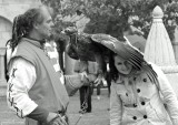 Feathered Hat