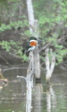 DSC_0247b.JPG