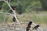 DSC_1244.JPG