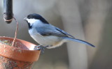 DSC_1004b.JPG