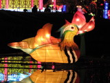 IMG_1704b.JPG
