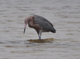DSC_0837b.JPG