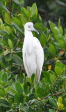 DSC_0888b.JPG