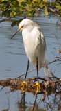 DSC_0974b.JPG