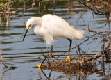 DSC_0013b.JPG