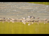 DSC_0017b.JPG