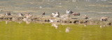 DSC_0035b.JPG
