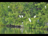 DSC_0044b.JPG