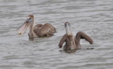 DSC_0087b.JPG