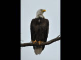 DSC_0287b.JPG
