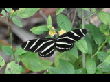 DSC_0507b.JPG