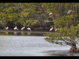 DSC_0336b.JPG