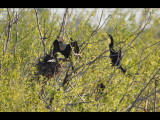 DSC_0176b.JPG