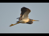 DSC_0045b.JPG