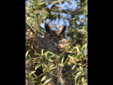 DSC_0167b.JPG