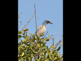DSC_0402b.JPG