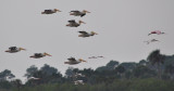 DSC_0260b.JPG
