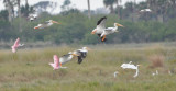 DSC_0263b.JPG