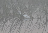 DSC_0905b.JPG