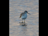 DSC_0757b.JPG