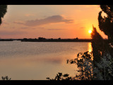 DSC_0801b.JPG