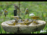 DSC_0160b.JPG