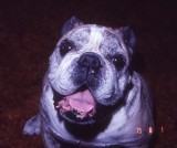 Scan008729.jpg