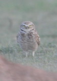 DSC_0003b.JPG