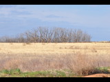 DSC_0136b.JPG