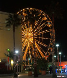 Ferris Wheel At The Pike