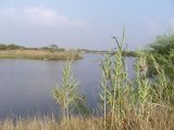 Lake La Cour