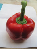 Pepper