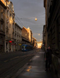 Wet Morning in Zagreb