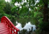 Japanese Garden