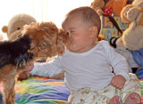 My dog Kooza kissing my grandson Jose Pablo