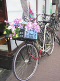2011 Amsterdam NW (2).jpg