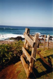 2003 Hawaii Beach with fence and flora PS.jpg