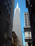 San Francisco Transamerica Pyramid MS.jpg