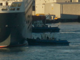 Two Tugs 1