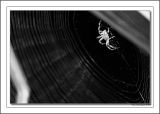 Fredericka, POV From Window Crank B&W