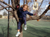 Climbing a tree