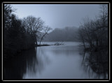 moonlight in the backwaters - brent