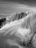 Dunes at Waldport OR by MikePDX