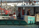 the winter fishery - brenda