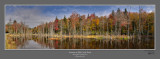 Autumn Hills Creek Pond.jpg