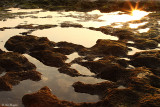 Morning On A Basin (HaBonim Seashore, Israel)