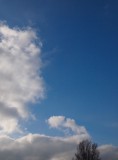 Blue at Last
