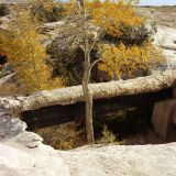 Agate Bridge